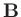 $\mathbf{B}$