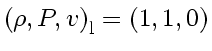 \bgroup\color{DEFcolor}$\left( \rho, P, v_{} \right)_\mathrm{l} = \left( 1, 1, 0 \right)$\egroup