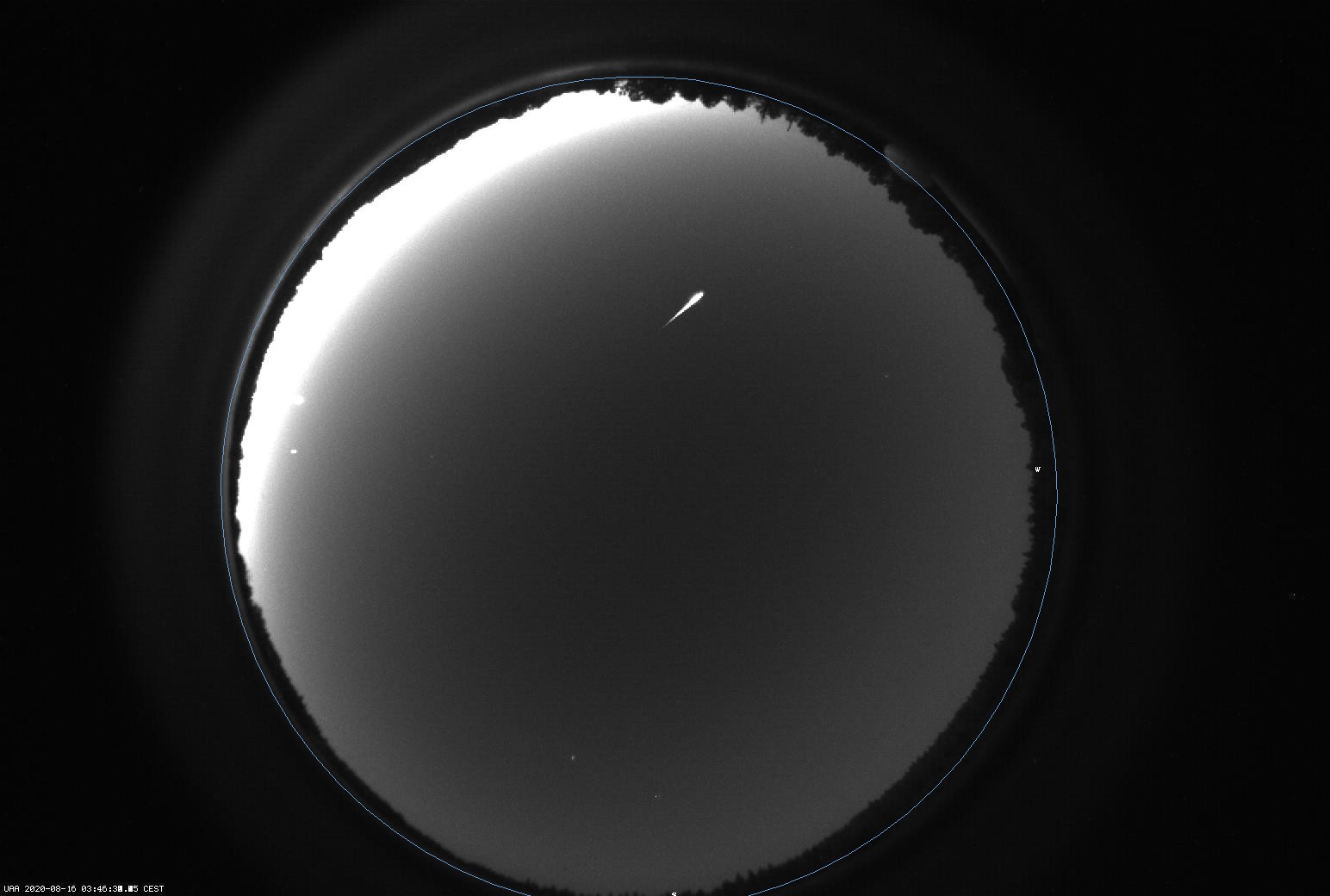 UAA_2020-08-16T01:46:33.540_comb.jpg