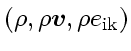 $\left( \rho, \rho\ensuremath{\mathchoice{\mbox{\boldmath$\displaystyle v$}}
{\m...
...iptstyle v$}}
{\mbox{\boldmath$\scriptscriptstyle v$}}}, \rho e_{\rm ik}\right)$