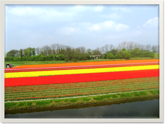 ::Utrecht_April_2009:IMG_1594.JPG
