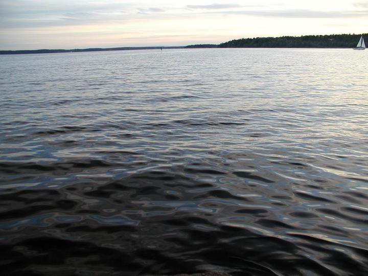 Large